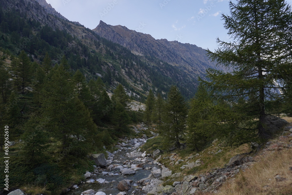 Ruscello di montagna con sassi e acqua limpida, italia