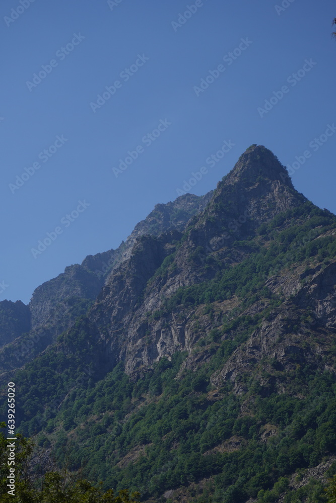 Vista su un paesaggio di montagna con monte alberato, cielo azzurro, italia