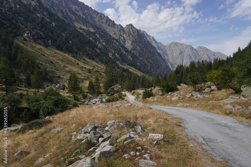 paesaggio di montagna con colline, alberi, e sentiero, italia