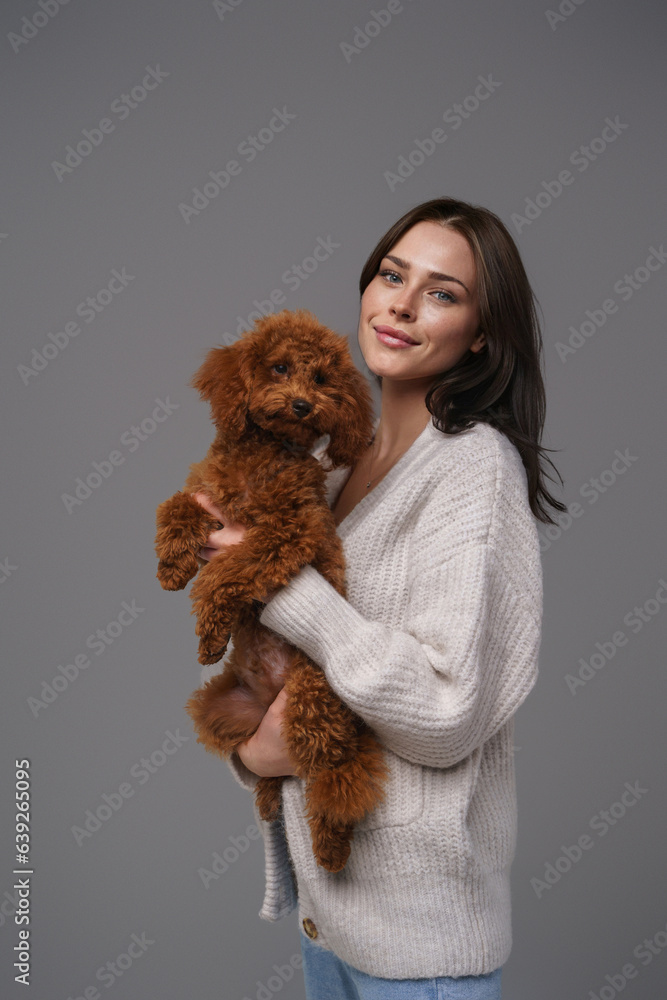 Charming girl in a white sweater holding her beloved brown toy poodle against a gray studio backdrop Charming girl in a white sweater holding her beloved brown toy poodle against a gray studio backdrop