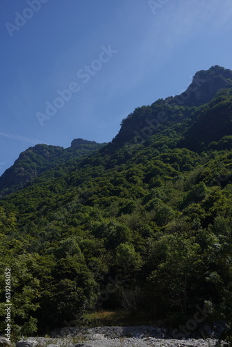 Vista su un paesaggio di montagna con monte alberato  cielo azzurro  italia