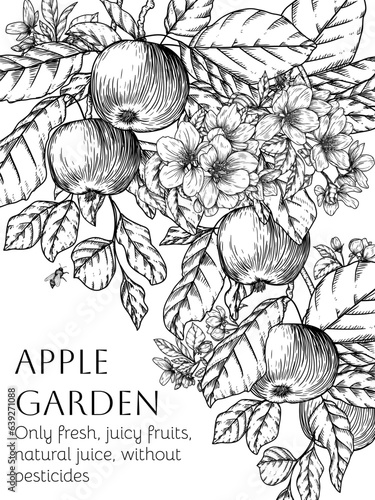 Vector template branch with fruits, leaves and blossoms of an apple tree in engraving style