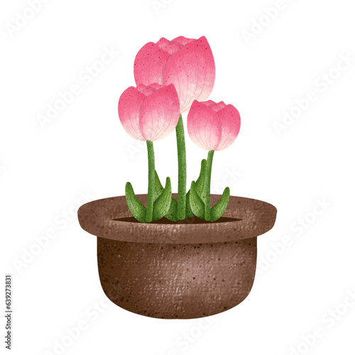 pink tulip in pot,Fower in a pot,floral,Flower,plant,flora,nature,watercolor,cartoon character,cute,icon ,vector, illustration,hand drawn