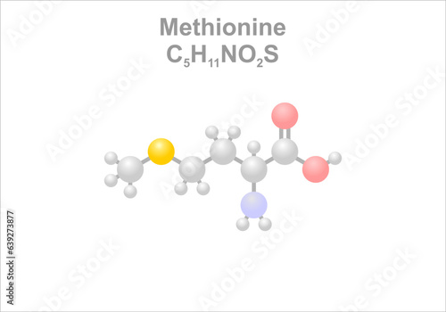 Methionine. Simplified scheme of the molecule.