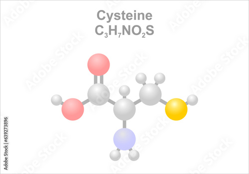 Cysteine. Simplified scheme of the molecule.