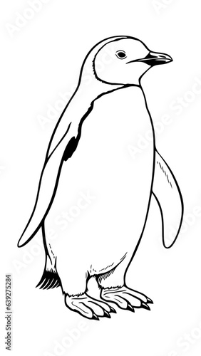 Penguin pencil drawing coloring book. Vector illustration