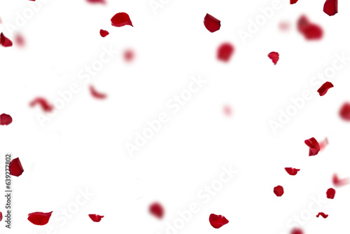 Floating red rose petal isolated on on a transparent background png. Background concept for love greetings on valentines day and mothers day. Space for text