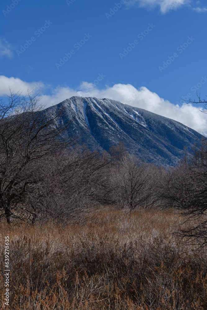 初冬の小田代ヶ原と男体山