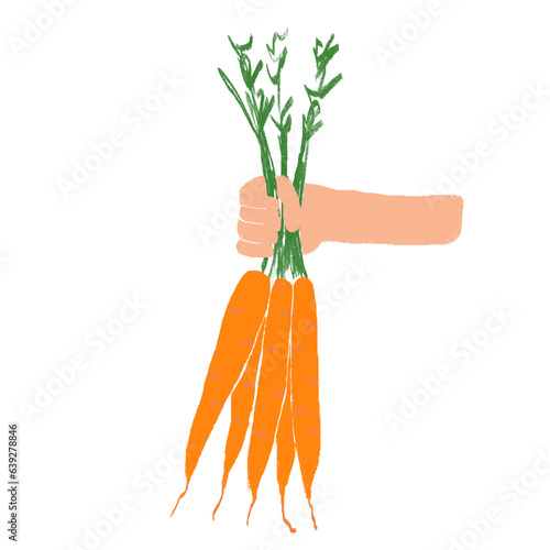 carrots isolated on white