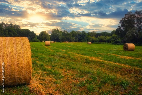 bales of hay - Strohballen - Heuballen - Heu - Stroh  - field - harvest - summer - straw - farmland - blue cloudy sky - golden - beautiful - freshly - countryside - haystacks - harvesting