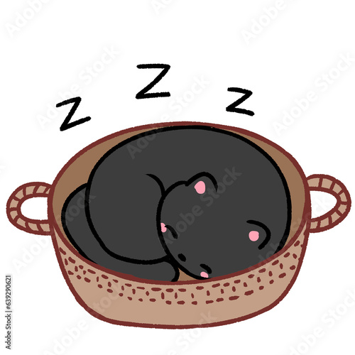 Black cat asleep