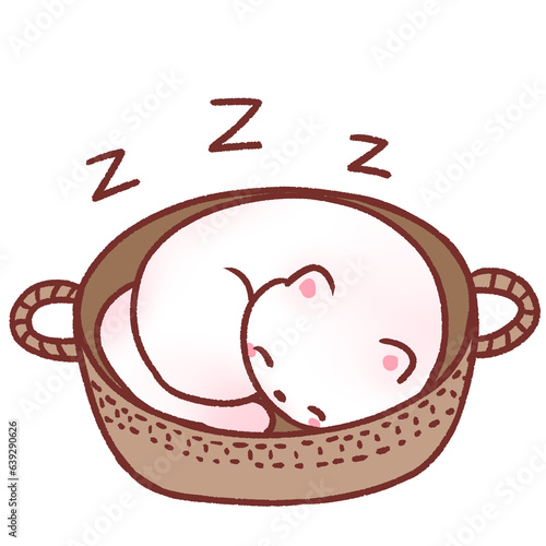 White cat asleep