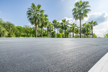 Asphalt road and tropical woods background