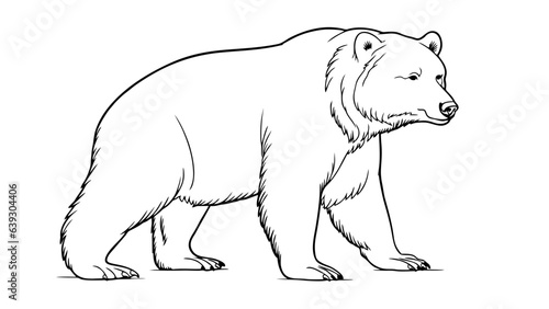 Bear pencil drawing coloring book. Vector illustration