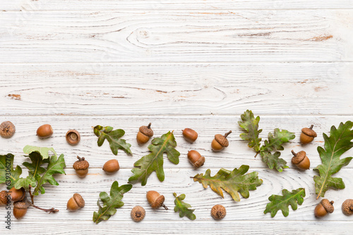 Branch with green oak tree leaves and acorns on colored background  close up top view