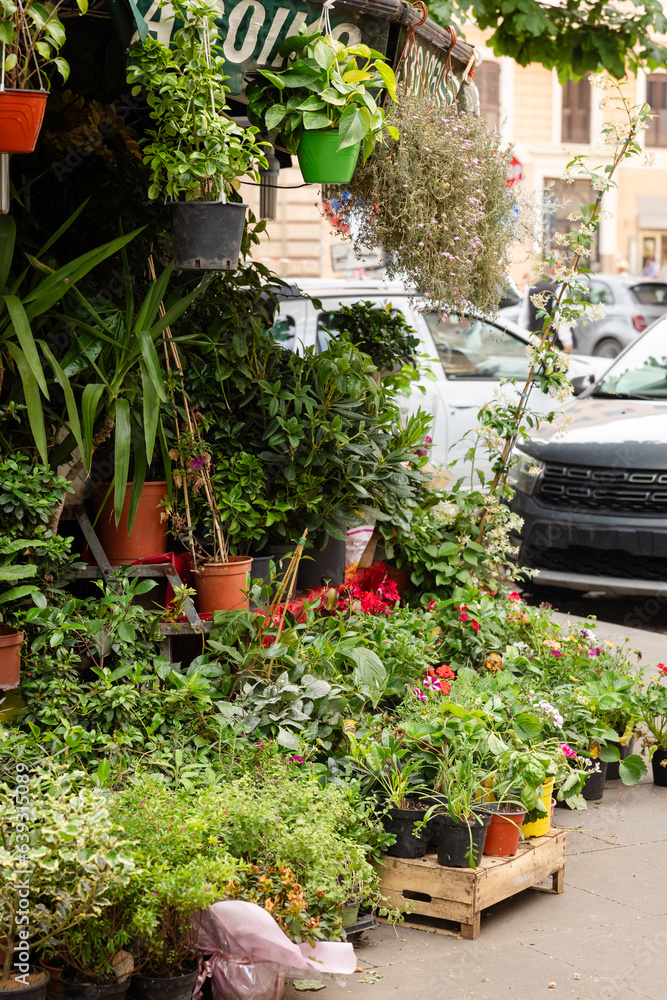 PLants and flowers for sale at an outdoor flower shop store in Rome Italy in the summer
