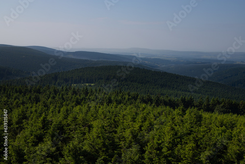 View at the forest near Velka Destna in Orlicke Mountains