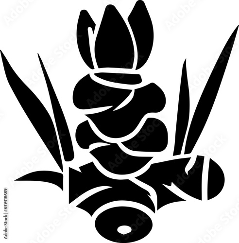 Zingiberaceae flower icon 2