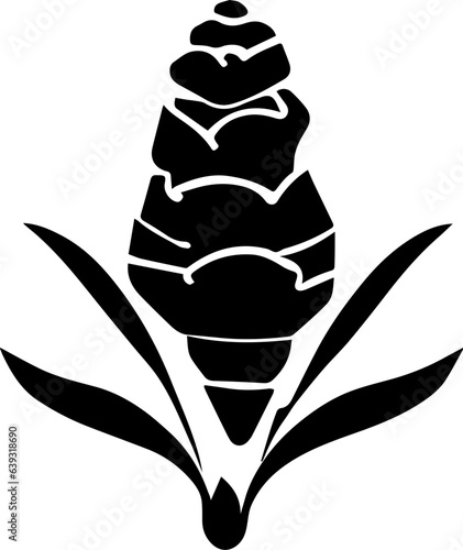 Zingiberaceae flower icon