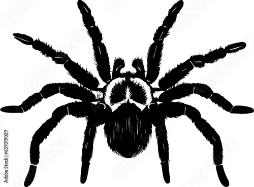 Brazilian Black Tarantula icon