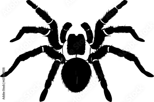 Brazilian Black Tarantula icon 3