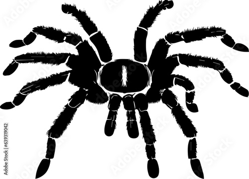 Brazilian Black Tarantula icon 2