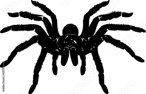Brazilian Black Tarantula icon 1