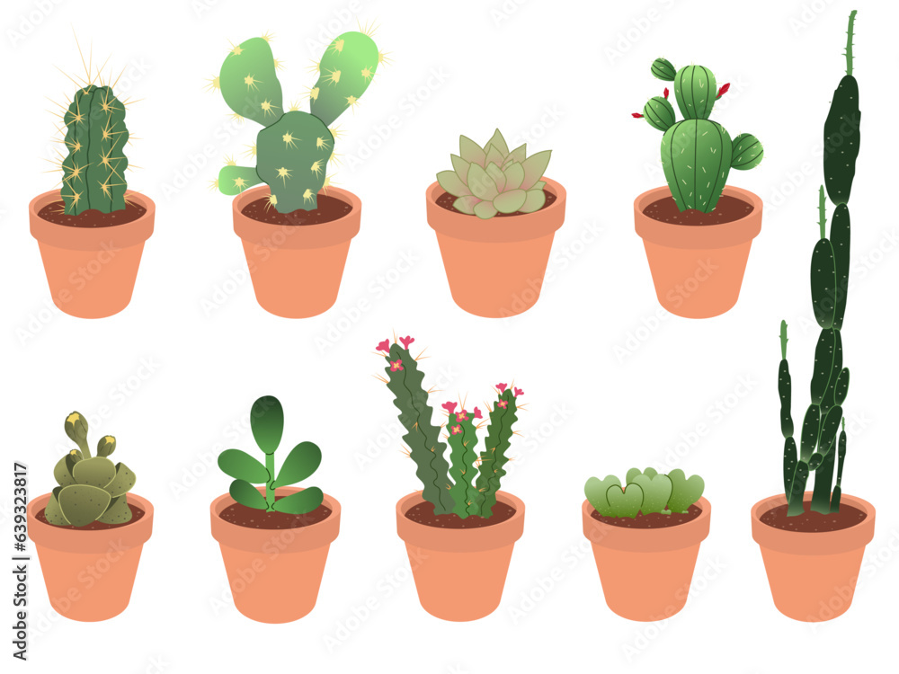 Succulents. Cacti in ceramic pots. A set of various cacti. Set of cacti for stickers, greeting cards. Vector illustration in flat cartoon style.