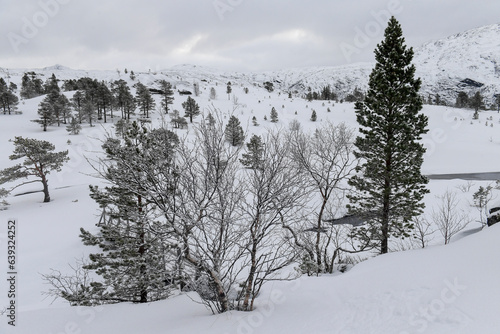 Snow landscape in the mountains of arctic Norway in winter