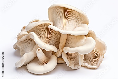 Fresh and Tasty King Trumpet Mushroom - Raw Pleurotus Eryngii Edible Food on White Background
