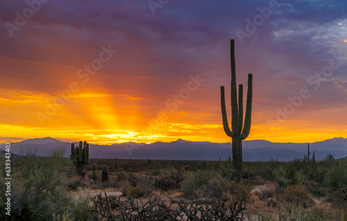 Orange Desert Sunrise Skies In North Scottsdale AZ