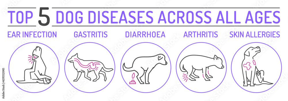 Top five dog diseases. Horizontal medical poster. Top five dog diseases. Horizontal medical poster.