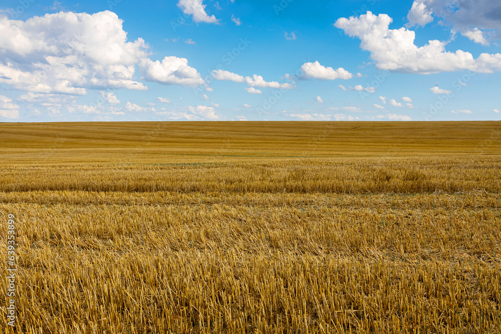 a dry field farming background