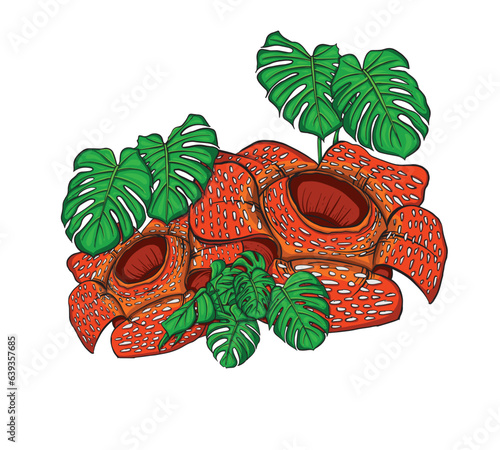 vector design of very rare raflesia arnoldii decorative flower, usually used for decoration, decorative flower for decoration and graphic design element