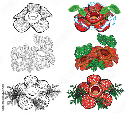 vector design of 3 rafflesia arnoldi flowers with additional 3 black and white sketches usually used for graphic design elements photo