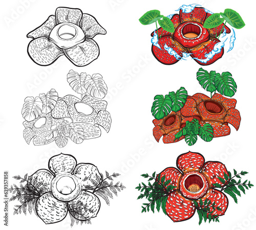 vector design of 3 rafflesia arnoldi flowers with additional 3 black and white sketches usually used for graphic design elements