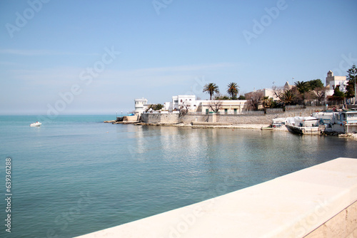 Dettaglio di Trani Colonna anni 2010