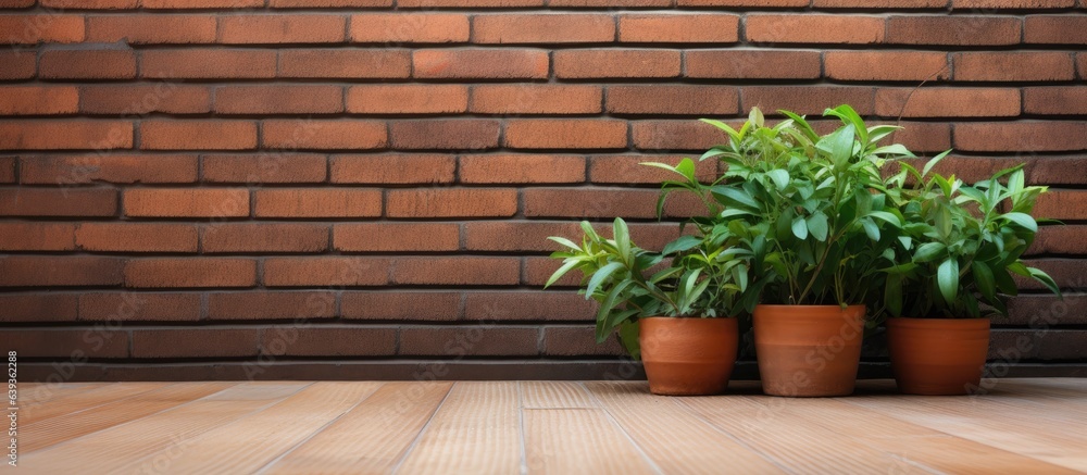 Green plant with wood floor against red brick wall Green plant with wood floor against red brick wall