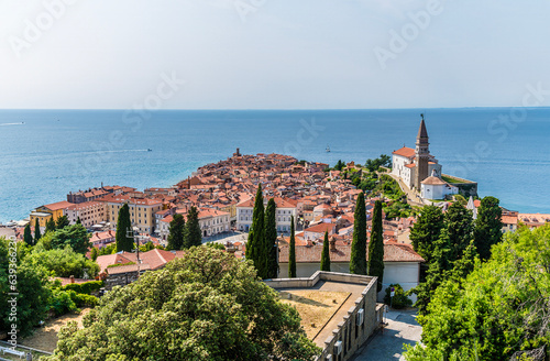 Photos A view past trees towards the cathedral and promontory in the town of Piran, Slo