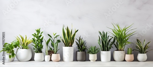 Several diverse fake plants in pots on white wood table by gray wall