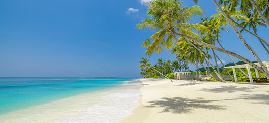 Best travel landscape. Paradise beach tropical island background beautiful palm trees, closeup sea waves sunshine blue sky clouds. Luxury travel summer vacation website design zen inspire wallpaper