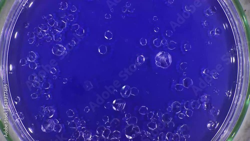 timelapse of the growth of crystals of a chemical from an water solution
