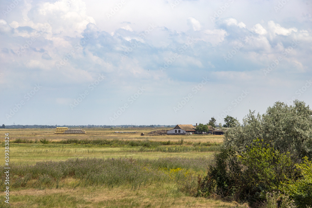 Landscape Landscape