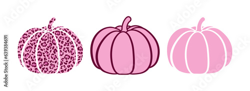 Pink Leopard Pumpkins