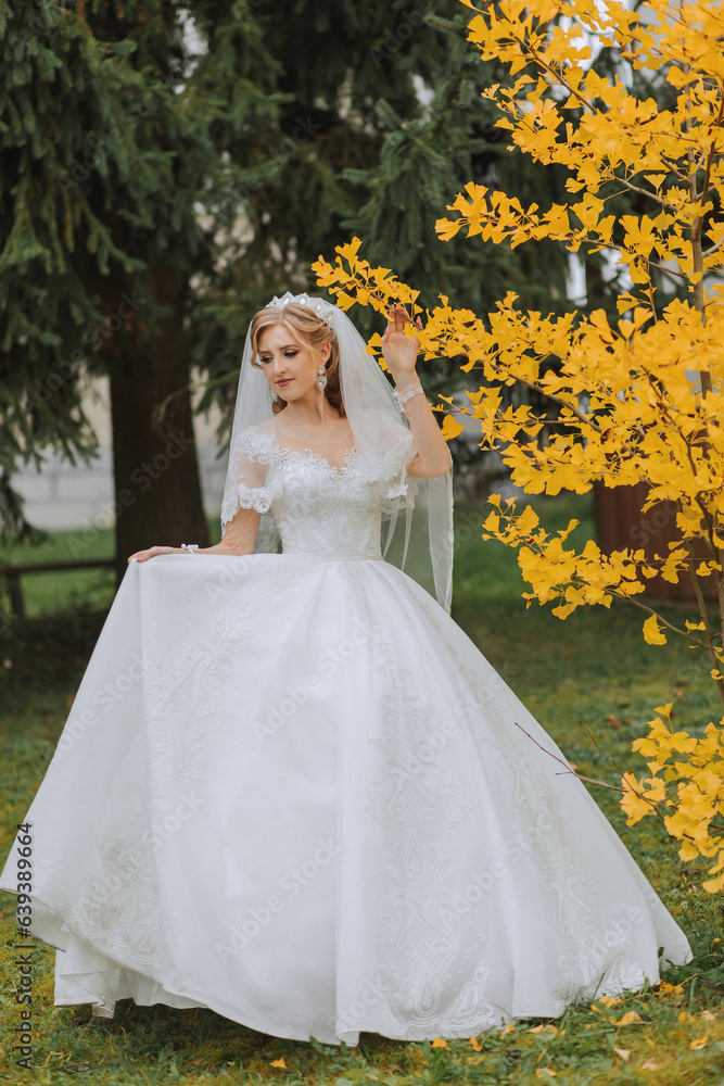 Portrait of a beautiful smiling bride. Autumn portrait of the bride. Yellow autumn leaves