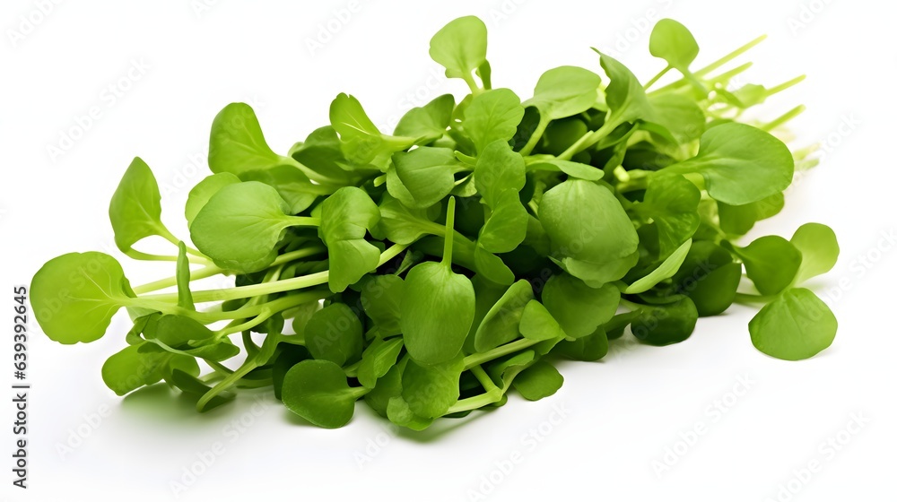 Watercress leaves or yellowcress on white background
