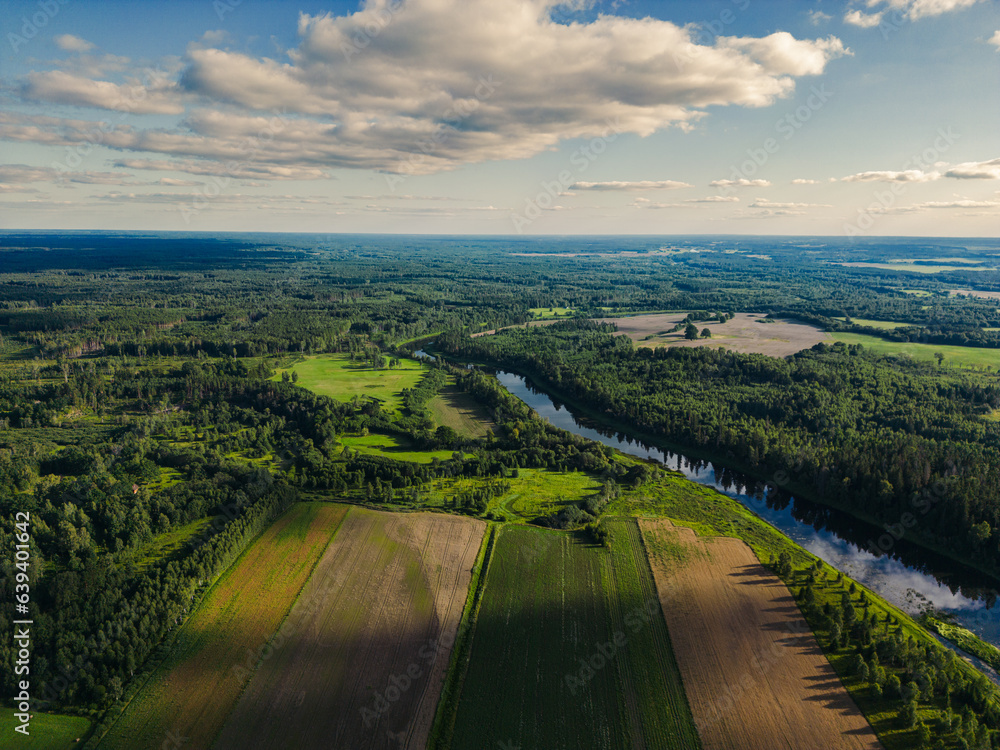 Aerial view over the green forest, agricultural fields and river between forest in sunny summer day. Drone view