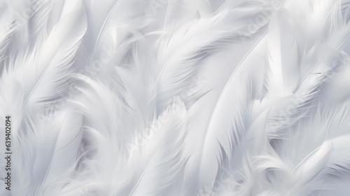 White feathers on a clean white background