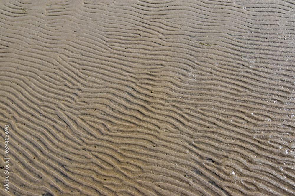 Sea sand forms a mosaic of small waves Sea sand forms a mosaic of small waves