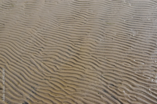 Sea sand forms a mosaic of small waves